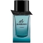 Mr. Burberry Element perfume sample